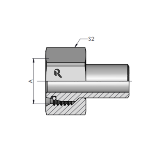 WN-S Weld Nipple